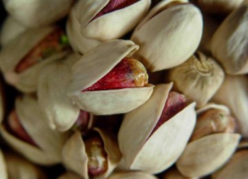 Pistachio Guarantees Sweet Satisfaction