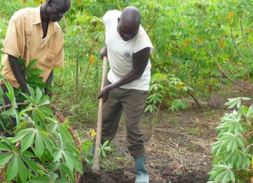 Saudis Expand Agro Role in Sudan