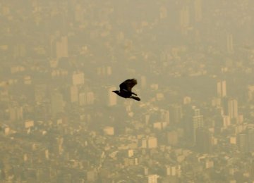 Air Pollution Damaging  to Brains