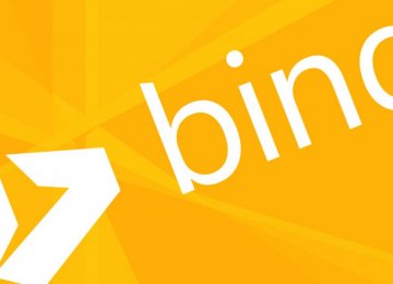 Microsoft&#039;s Bing Claims 20% of US Search Market