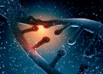 Nanokit Helps Rapid DNA Extraction