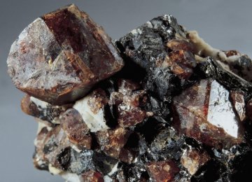 Zircons Predates Origin of Earth