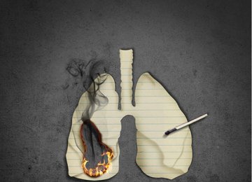 Tobacco Causes 90% of Lung Cancers