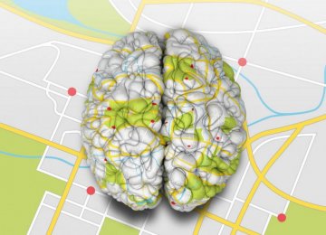 2 Nations Join INSF in Brain Mapping Project