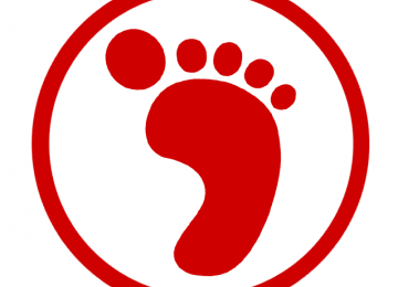 Diabetic Foot Identification Program
