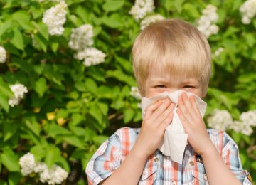 Hay Fever Leads to Asthma 