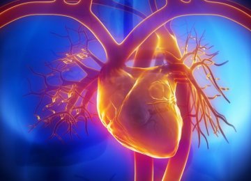 Nanotech Heals Damaged  Heart Tissue  