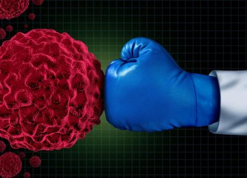 Scientists Train Immune System to Kill Cancer