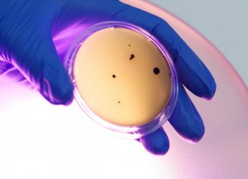 New Indigo Light Kills Bacteria at Hospitals