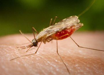 Global Malaria Target Achieved
