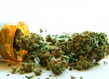 Marijuana Most-Used Drug in Europe