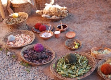 Studying Natural Dyes to Identify Ancient Plants