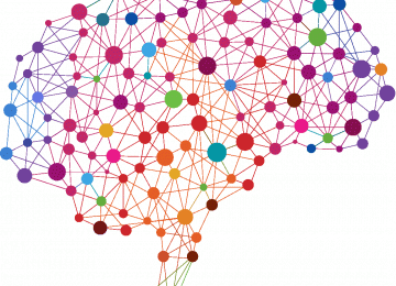 Int’l Neuroscience Institute to Open in April