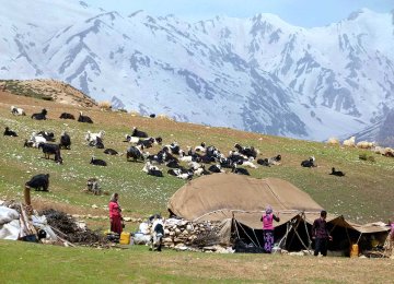 Insurance, Pensions for Nomads, Farmers