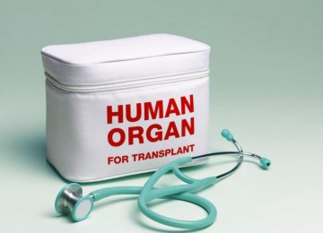 Organ Donations Rise