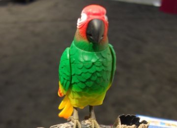 Researcher Designs Parrot Robot to Help Autistic Kids