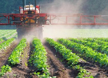 Curbs on Chemical Pesticide