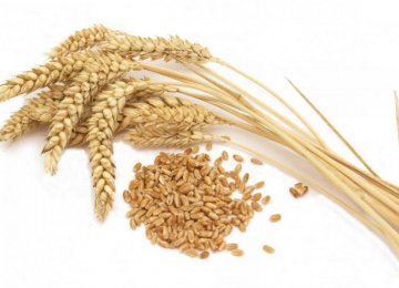 Iran Top Consumer of Rice, Wheat