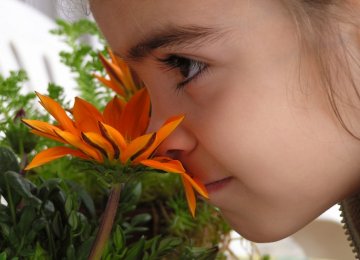 Sniffing Test Could Help Diagnose Autism