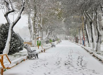 Snow Envelopes 18 Provinces, Schools Closed