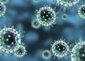 Swine Flu Toll Rises to 28 in Kerman 