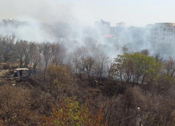 Tehran Gardens Razed for High Rises