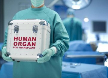 Shiraz: Organ Transplant Hub