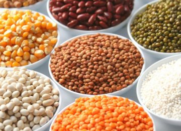 FAO Declares 2016 Int’l Year of Legumes