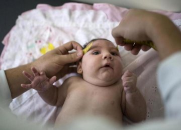 Zika Link to Birth Defects Highly Likely
