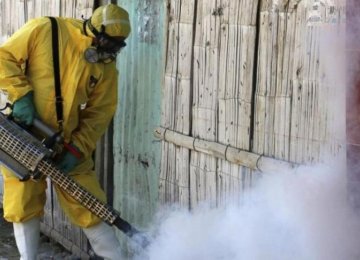 WHO Declares Zika Emergency