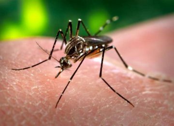 3 Zika Deaths in Colombia