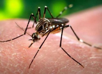 First Zika Case in Russia