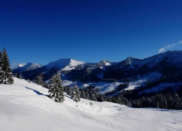 Climate Change May Alter Alps Tourism