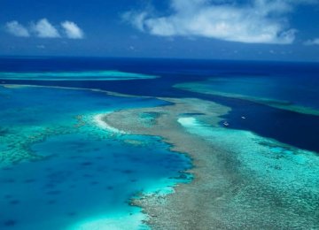 Great Barrier Reef Kept Off Endangered List