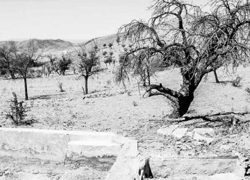 Fund to Tackle Drought in  S. Khorasan