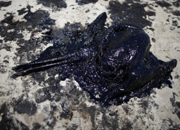 California Oil Spill Prosecutors Probe Possible Criminal Case