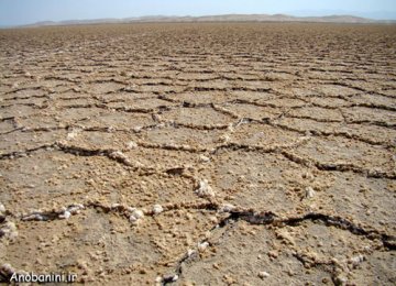 Cost of Desertification