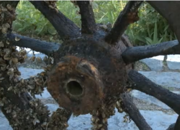 Divers Discover Wrecks in Danube