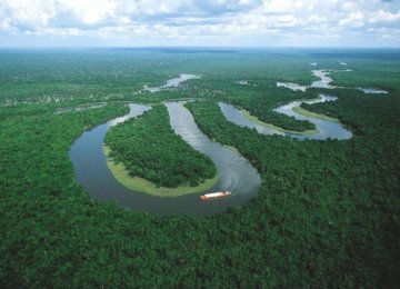 Deforestation Freeze Unlikely in US-Brazil Climate Declaration