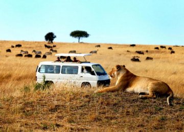 Ecotourism Threatens  Wildlife Survivability