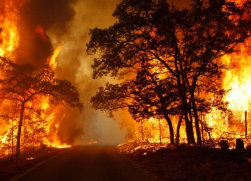 $6.1m Allocated for Combating Wildfires