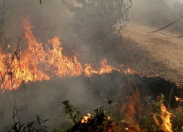 Indonesia Wildfires Causing SE Asia Haze