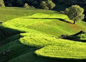 Negligent Ecotourism Hurting Lorestan