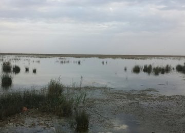 1st Int’l Ecological Meeting in Ahvaz