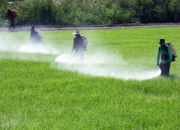 Pesticide Use Above Global Average