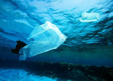 Plastic to Outweigh Fish by 2050