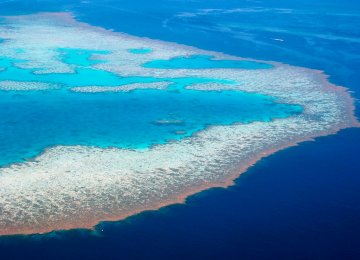 Australia Failing to Save Great Barrier Reef