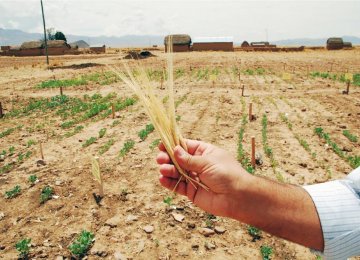 Global Warming  Threatens Food Security