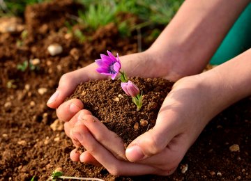 Threats to Soil Productivity Jeopardize Food Security