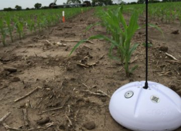 Sensors Cut Farm Water Use By a Quarter